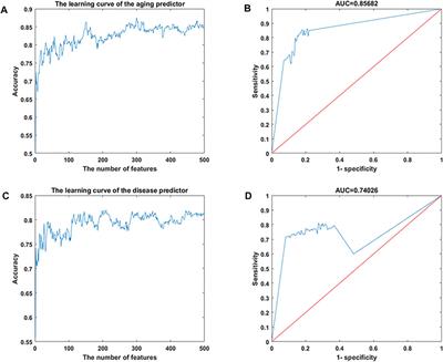 The Inflamm-Aging Model Identifies Key Risk Factors in Atherosclerosis